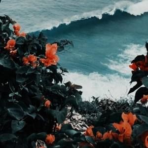 Meet your Posher, Lorena